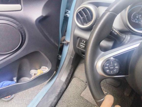 [杭州·浙A] 二手欧拉欧拉黑猫2019款 351km 亲子版