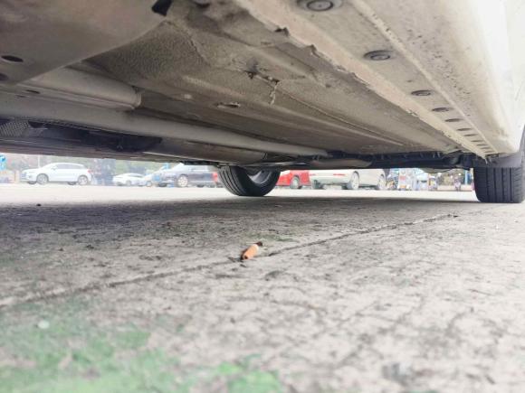 [温州·浙C] 二手日产蓝鸟2019款 1.6L CVT智联智酷版 国VI