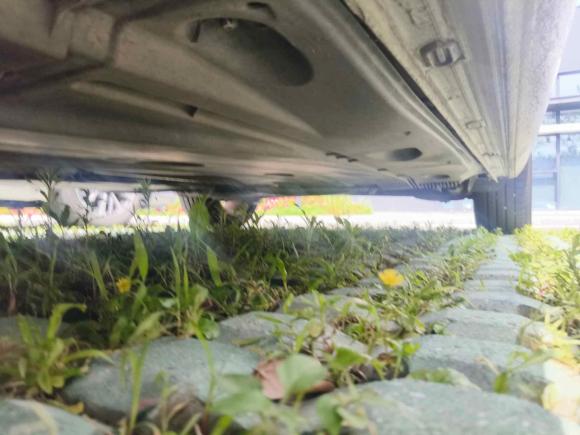 [宁波·浙B] 二手大众高尔夫2015款 1.6L 自动舒适型