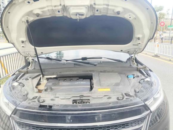 [温州·浙C] 二手星途星途TX2021款 1.6T 两驱超能3号