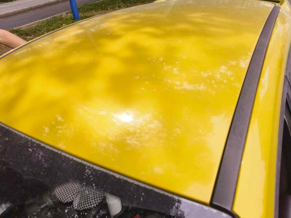 [合肥·皖N] 二手福特福克斯2012款 两厢 1.6L 手动舒适型