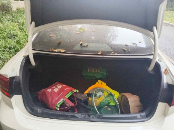 [成都·川G] 二手大众凌渡2021款 230TSI DSG风尚版