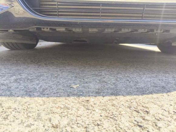 [苏州·苏U] 二手日产天籁2021款 2.0T XL Upper AD1 智享领航版