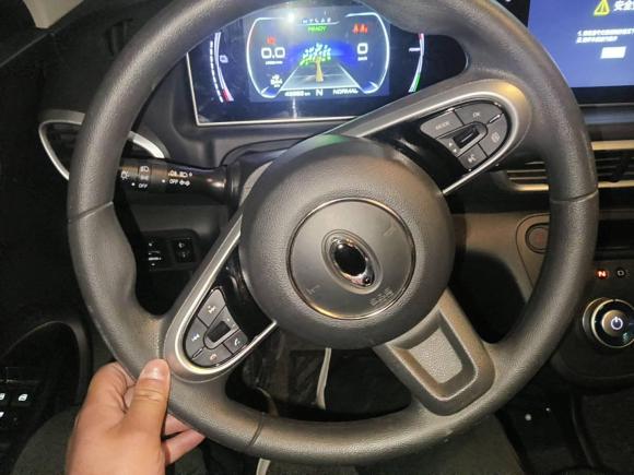 [合肥·皖A] 二手欧拉欧拉白猫2020款 401km 长续航型