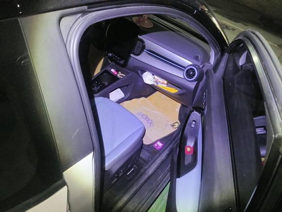 [杭州·浙A] 二手奇瑞新能源小蚂蚁2022款 甜粉款 半糖版 磷酸铁锂 30kW 301km