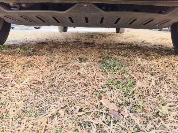 [苏州·苏U] 二手五菱汽车五菱荣光V2018款 1.5L标准型