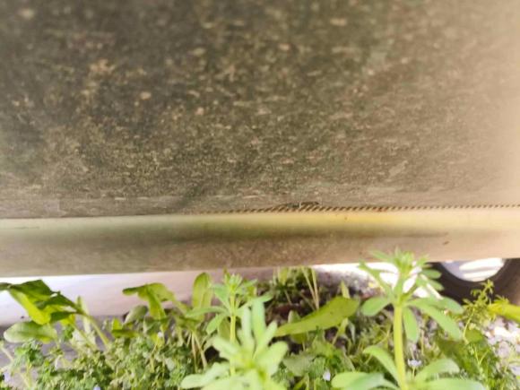 [南京·苏A] 二手奔腾奔腾B702024款 第四代 2.0T 领御版