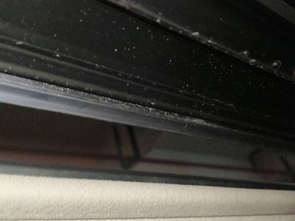 [杭州·浙A] 二手丰田凯美瑞2008款 240G 豪华版