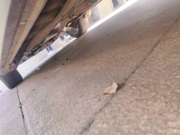 [上海·沪F] 二手斯巴鲁森林人2012款 经典 2.5XS 自动豪华版