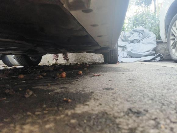 [深圳·湘D] 二手宝马宝马X12022款 sDrive25Li 领先型