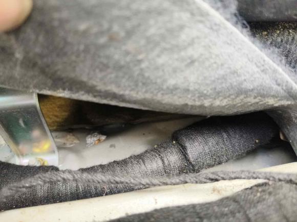 [深圳·粤B] 二手比亚迪唐新能源2015款 2.0T 四驱旗舰型