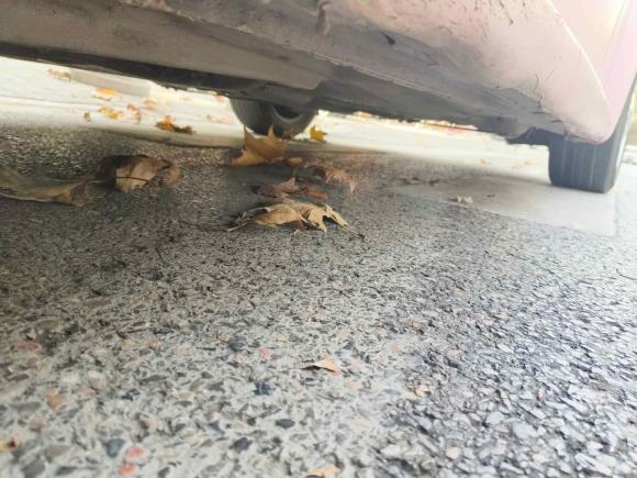 [西安·陕D] 二手大众甲壳虫2010款 2.0 BlackOrange敞篷豪华版