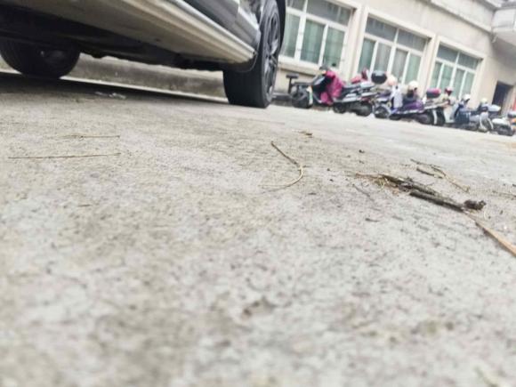 [杭州·黑H] 二手保时捷Cayenne2007款 Cayenne 3.6L