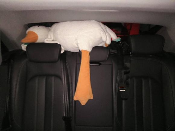 [合肥·皖A] 二手奥迪奥迪A4L2024款 40 TFSI 时尚动感型