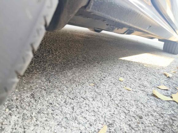 [青岛·鲁B] 二手大众帕萨特2021款 330TSI 豪华版