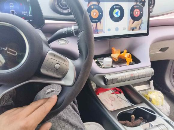 [苏州·苏E] 二手比亚迪海豚2021款 405km 时尚版