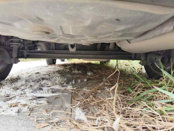 [广州·粤S] 二手丰田花冠2013款 1.6L 自动豪华版