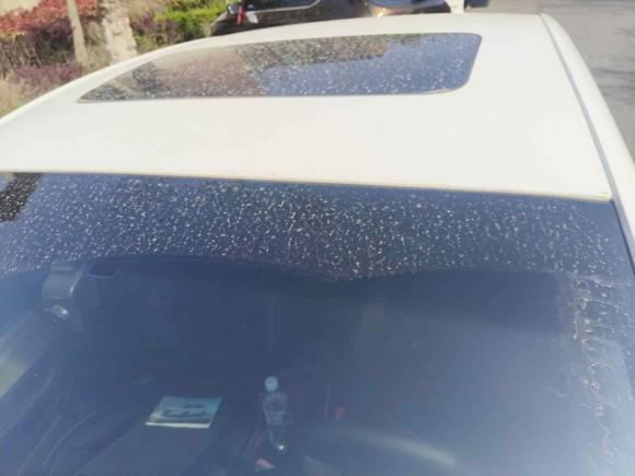 [青岛·鲁B] 二手别克英朗2021款 典范 1.5L 自动精英型