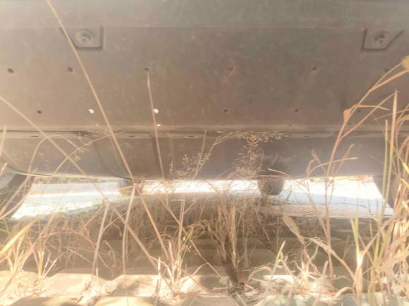 [上海·鲁B] 二手吉利几何吉利几何E萤火虫2022款 401KM 玲珑虎 4座