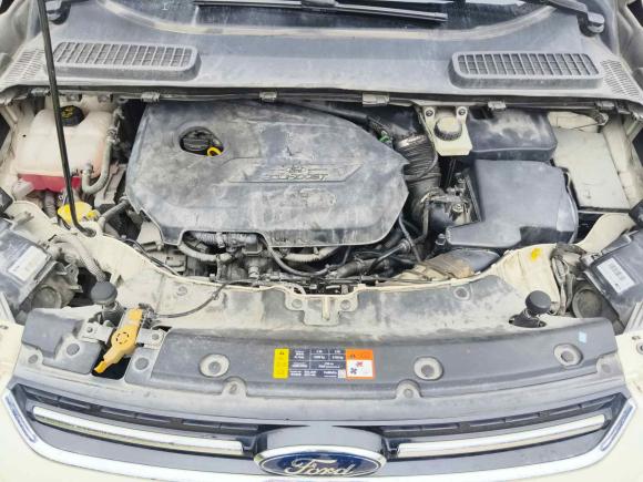 [温州·浙C] 二手福特翼虎2013款 1.6L GTDi 四驱精英型