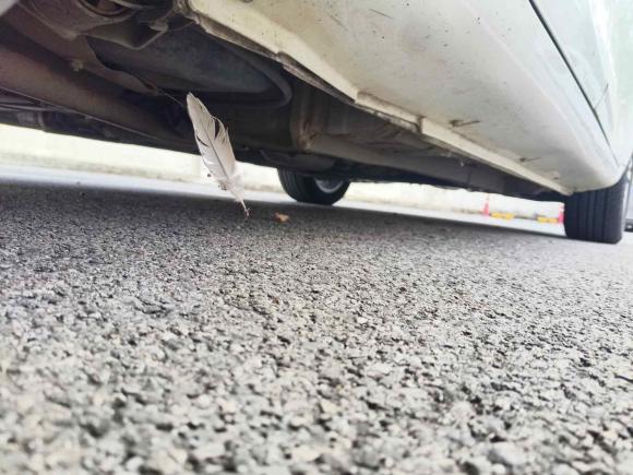 [上海·浙F] 二手吉利汽车帝豪2017款 三厢百万款 1.5L 手动向上版