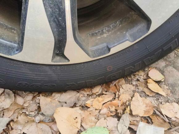 [上海·鄂L] 二手本田本田CR-V2021款 240TURBO CVT两驱舒适版