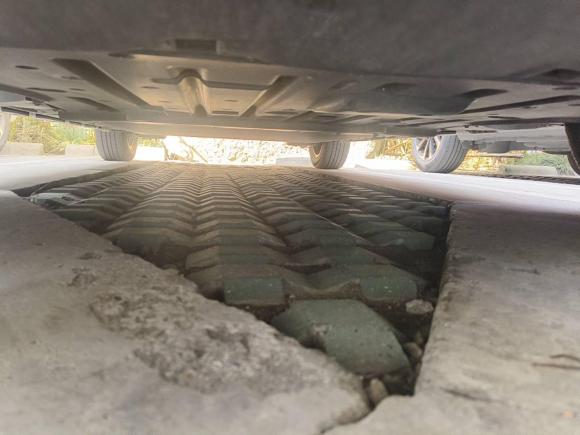 [上海·沪A] 二手比亚迪海豚2021款 405km 时尚版