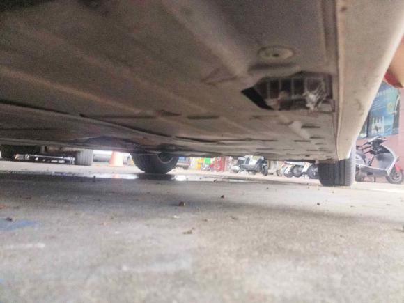 [金华·浙G] 二手宝马宝马3系2015款 320Li 超悦版时尚型