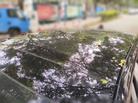 [佛山·粤E] 二手福特蒙迪欧2022款 改款 EcoBoost 245 至尊型