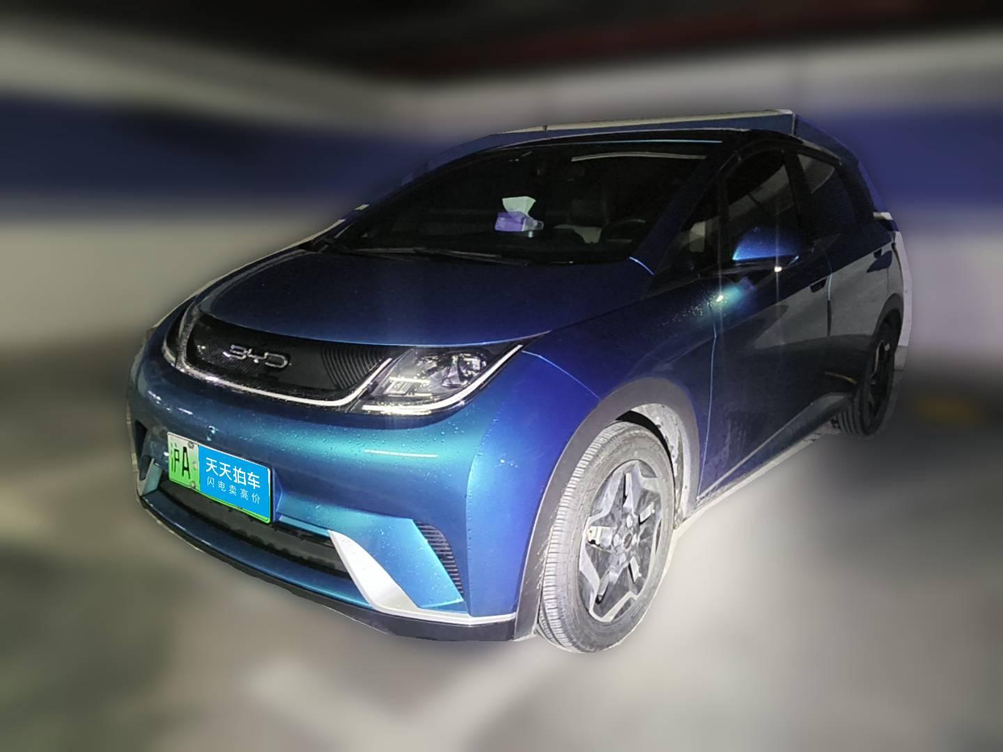 [上海·沪A] 比亚迪海豚2021款 405km 自由版