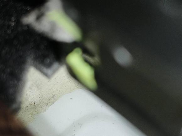 [济南·鲁A] 二手雪佛兰沃兰多2019款 Redline 530T 自动纵享版（5+2款） 国VI