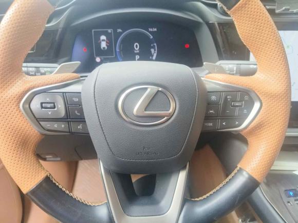 [成都·川A] 二手雷克萨斯雷克萨斯RZ2023款 300e 长续航 纵享版