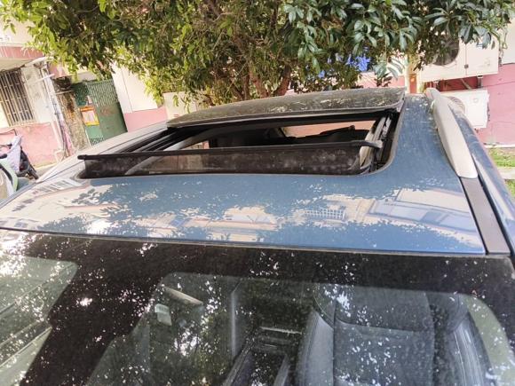 [苏州·苏E] 二手威马汽车威马EX52020款 EX5-Z Fun动感版