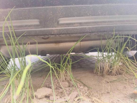 [南通·苏F] 二手大众途观L2017款 330TSI 自动两驱豪华版