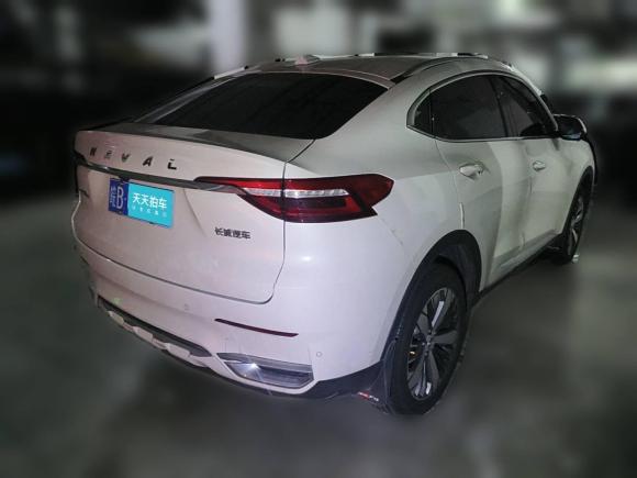 [上海·皖B] 二手哈弗哈弗F7x2019款 1.5T 两驱极智潮玩版