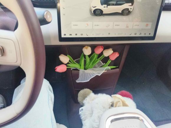 [杭州·浙A] 二手极氪极氪X2025款 五座长续航版