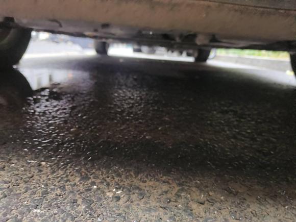 [杭州·浙A] 二手日产骊威2013款 劲锐 1.6XL CVT舒适版