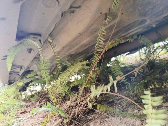 [广州·粤A] 二手起亚索兰托2013款 2.2T 5座柴油舒适版