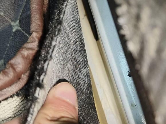 [济南·鲁A] 二手起亚起亚K32021款 改款 1.5L CVT时尚版