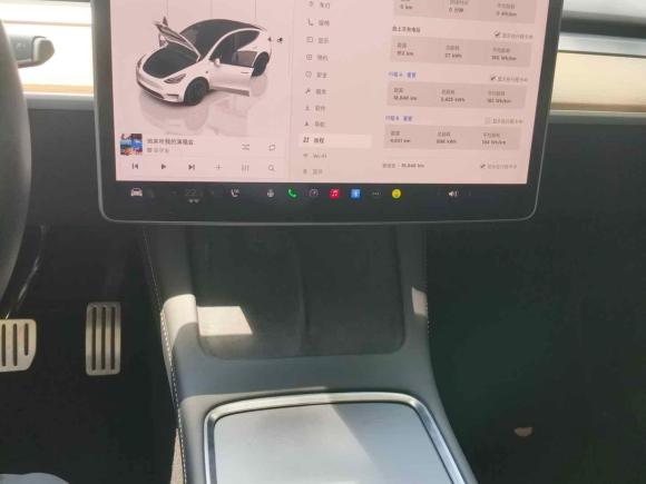 [上海·沪A] 二手特斯拉Model Y2022款 Performance高性能全轮驱动版