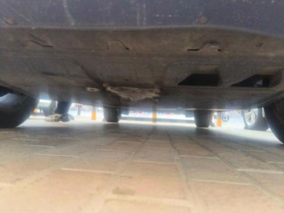 [常州·苏D] 二手大众宝来2014款 1.6L 自动舒适型