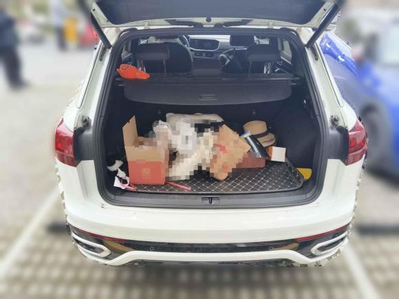 [上海·沪A] 二手大众探岳2022款 380TSI 四驱R-Line智联版