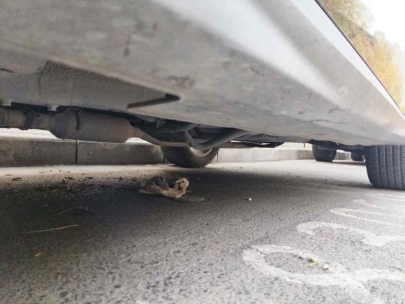 [西安·陕U] 二手哈弗哈弗H22014款 1.5T 手动两驱精英版