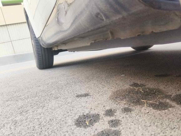 [济南·鲁A] 二手smartsmart fortwo2015款 1.0L 52千瓦硬顶激情版