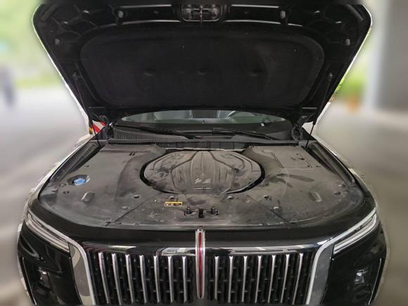 [合肥·皖A] 二手红旗红旗H92023款 2.0T 智联旗享版