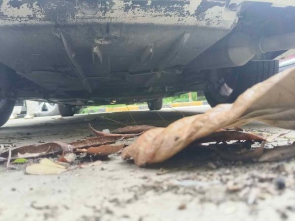 [上海·沪B] 二手丰田卡罗拉2014款 1.6L CVT GL-i真皮版