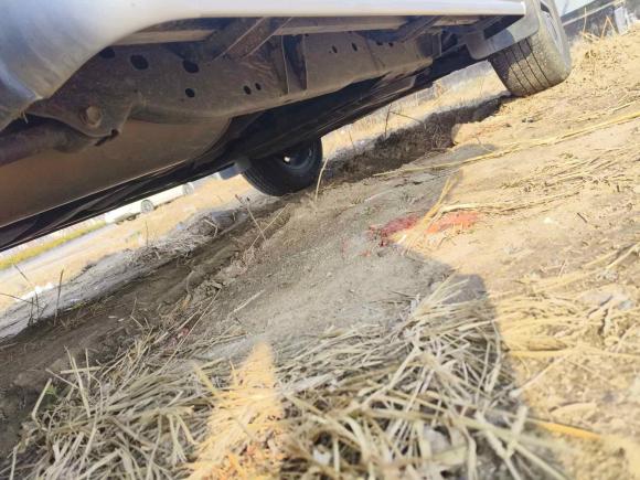 [上海·鄂C] 二手日产途达2020款 2.5L XL Upper 自动两驱豪华版