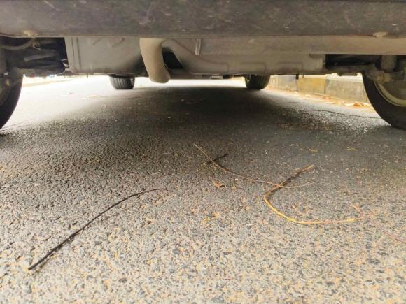 [苏州·苏E] 二手雪佛兰科鲁兹2018款 两厢 320 自动先锋天窗版