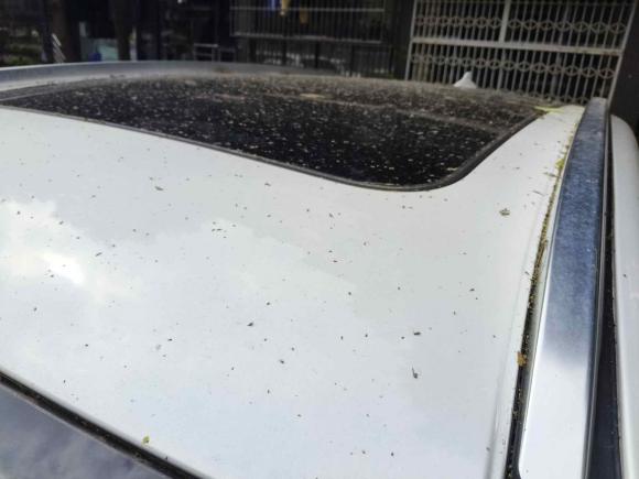 [成都·川A] 二手哈弗哈弗H62017款 蓝标 2.0T 自动两驱智尚型