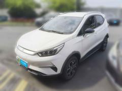 [上海·沪A] 比亚迪元Pro2021款 401KM 豪华型